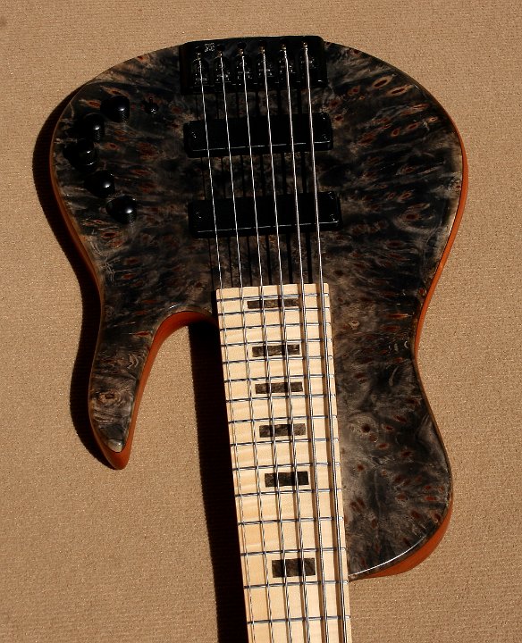 SC6 Buckeye Burl - Price 4000€